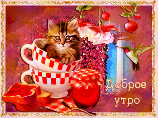Открытка Доброе утро - Кошка в чашке: Красивая открытка с утром | Красивая открытка #128