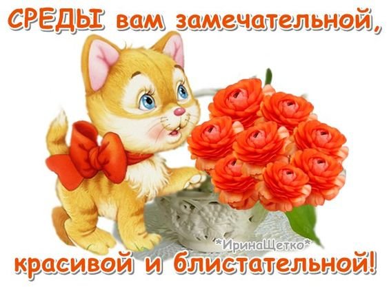 Открытка Со средой - Красный кот с цветами: открытка с днем рождения | Красивая открытка #21