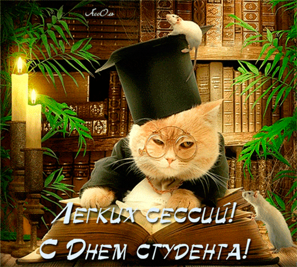 Открытка Открытки с днем студента - С Днем студента: Кот в шапке и очках! | Красивая открытка #37