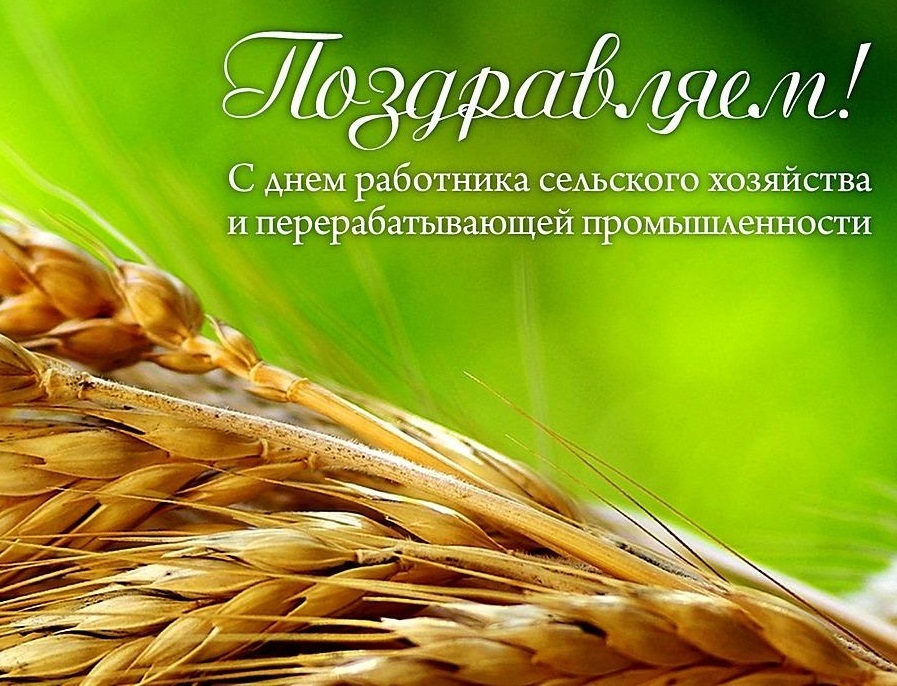 Открытка День работников сельского хозяйства - Открытка с пшеницей: С Днём работника сельского хозяйства | Красивая открытка #38