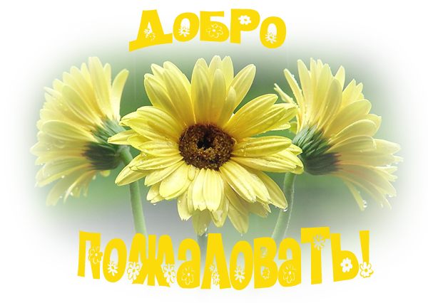 Открытка Открытки добро пожаловать - Открытка с жёлтыми цветами на зелёном фоне | Красивая открытка #48