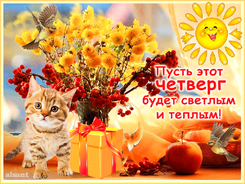 Открытка Открытки на четверг - Кот и осенние ягоды: праздничная открытка | Красивая открытка #197