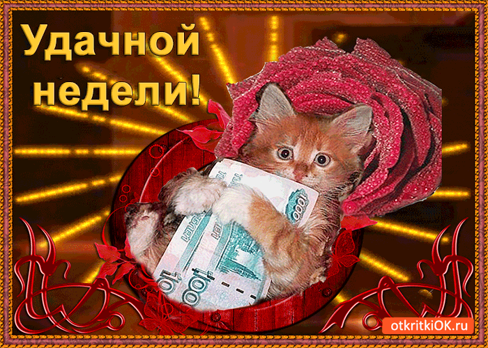 Открытка Открытки удачной недели - Котенок с деньгами: смешная открытка - otkritkiOK.ru | Красивая открытка #190