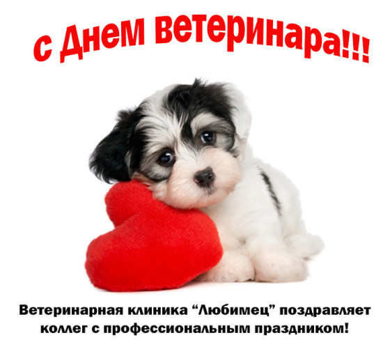 Открытка Открытки с днем ветеринара - Щенок с сердечком: Открытка с Днём! | Красивая открытка #17