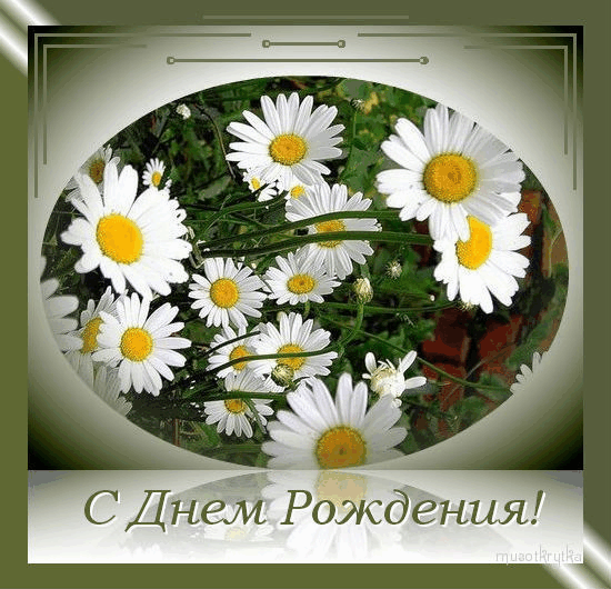 Открытка С ромашками - Открытка с ромашками: С Днем Рождения! | Красивая открытка #60