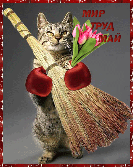 Открытка открытки на 1 мая - Открытка с котом и метлой | Красивая открытка #59