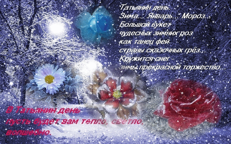 Открытка открытки на Татьянин день  - Зимние розы: Красивая открытка с цветами и снегом | Красивая открытка #270