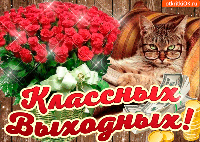 Открытка Открытки хороших выходных - Открытка с котиком, цветами и долларами | Красивая открытка #110