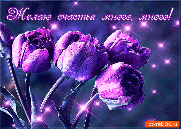 Открытка Желаю счастья - Фиолетовые тюльпаны на фоне блесток  открытка | Красивая открытка #53