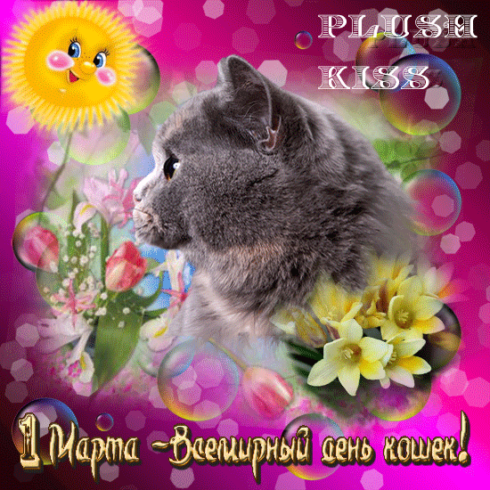 Открытка С Всемирным днём кошек - Открытка: Милый котенок на 8 марта | Красивая открытка #49