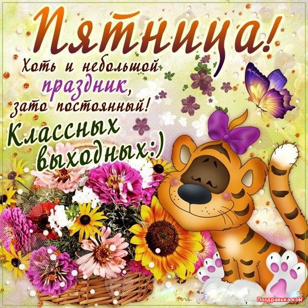 Открытка открытки с пожеланиями хорошей пятницы  - Открытка с тигром и цветами | Красивая открытка #1