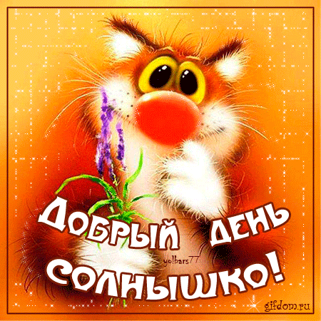 Открытка добрый день - Открытка с рыжим котиком и цветами | Красивая открытка #139