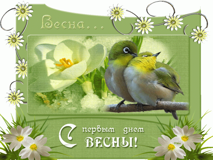 Открытка Первый день весны - Открытка с цветком и птичкой: С днем весны! | Красивая открытка #157