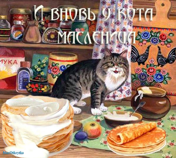 Открытка Масленица - Кошка и чай: открытка с котом, яблоки, чайник | Красивая открытка #127