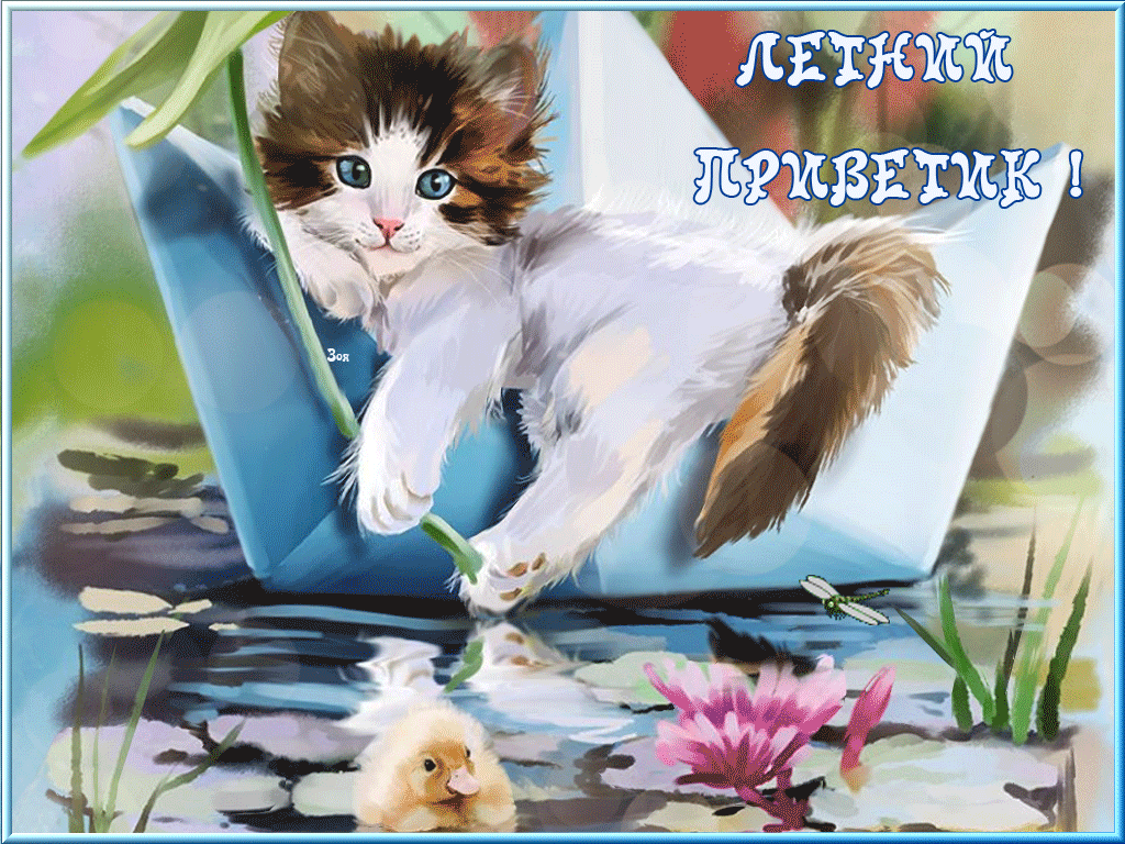 Открытка летний привет - Котенок на листе, прутик, кувшинки, стрекоза | Красивая открытка #18