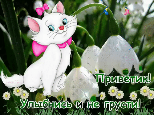 Открытка Не грусти - Белый котёнок среди подснежников и цветов | Красивая открытка #108