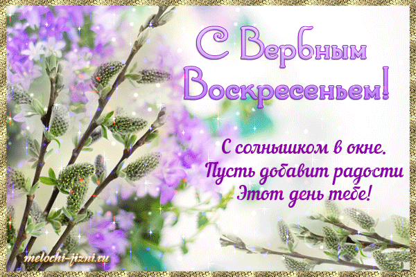Открытка С вербным воскресеньем - Весенняя открытка с вербой: С Возрождением! | Красивая открытка #105