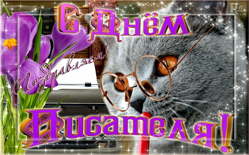 Открытка Открытки на Всемирный день писателя - Открытка с котом в очках, фиалки и трава | Красивая открытка #38
