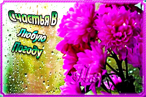 Открытка Картинки про погоду - Букет сирени на открытке | Красивая открытка #32