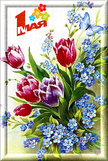 Открытка открытки на 1 мая - Открытка: Тюльпаны и незабудки, весенний букет | Красивая открытка #133