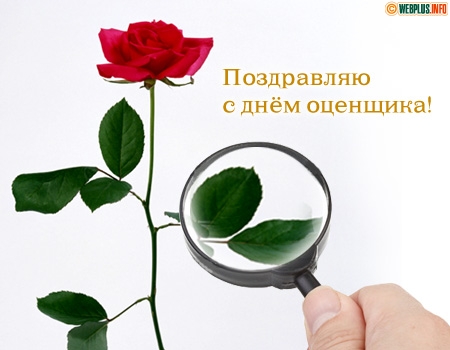 Открытка Открытки с днем оценщика - Открытка с красной розой и лупой | Красивая открытка #23