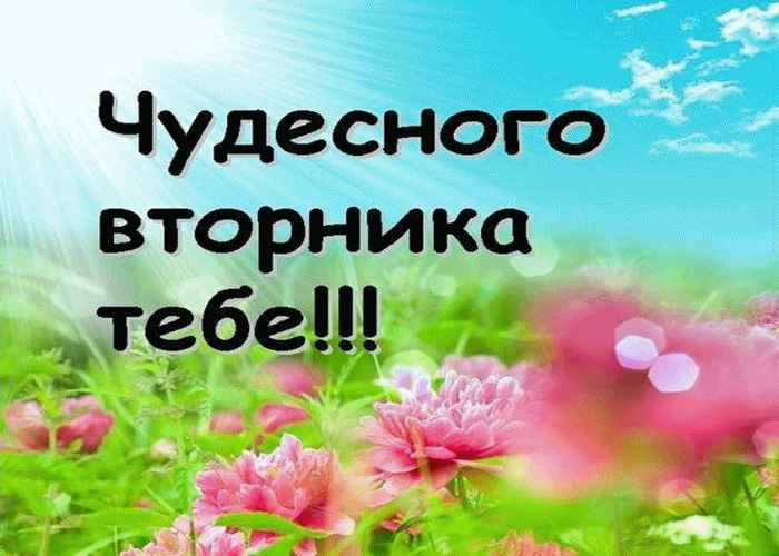 Открытка Открытки на вторник - Открытка с цветами и голубым небом | Красивая открытка #162