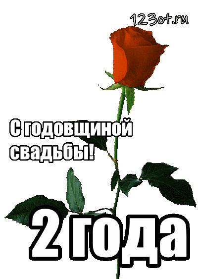 Открытка 2 года - бумажная свадьба - Открытка с красной розой: 2 года свадьбы | Красивая открытка #32