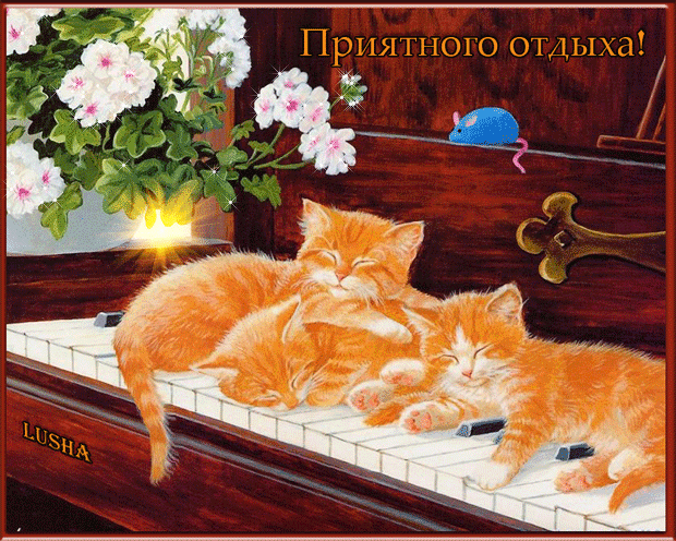 Открытка Хорошего отдыха, отпуска - Коты спят на рояле, цветы, открытка с котами | Красивая открытка #58