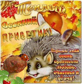 Открытка Открытки с приветствиями  - Открытка с ёжиком: осенняя радость и уют! | Красивая открытка #143
