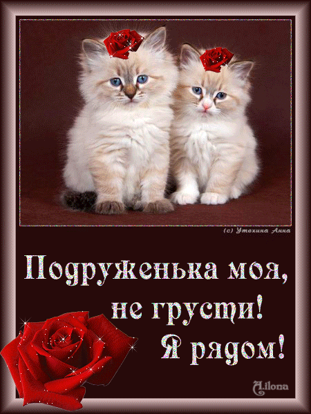 Открытка Я рядом - Открытка с котятами и красными розами | Красивая открытка #2