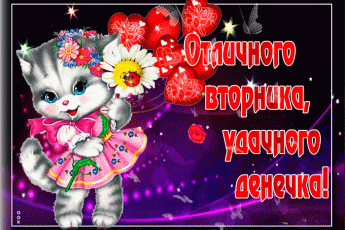 Открытка Открытки на вторник - Открытка с котенком: поздравления с праздником | Красивая открытка #110