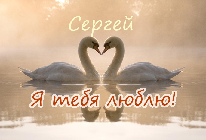 Открытка Открытки с именем Сергей - Лебеди в форме сердца — открытка с любовью | Красивая открытка #5