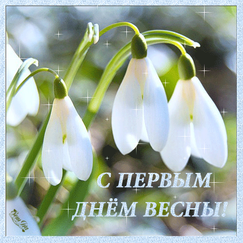 Открытка Первый день весны - Подснежники — поздравления с Первым днём весны | Красивая открытка #36