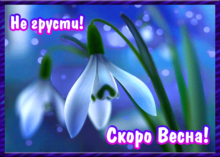Открытка Открытки не грусти - Подснежник: Первая весенняя открытка. | Красивая открытка #53