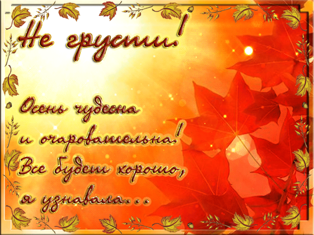 Открытка Открытки не грусти - Осенняя открытка: яркие листья и теплые чувства | Красивая открытка #36