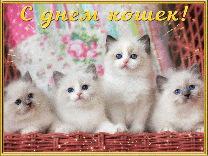 Открытка С кошками - Открытка с котятами в корзине | Красивая открытка #12
