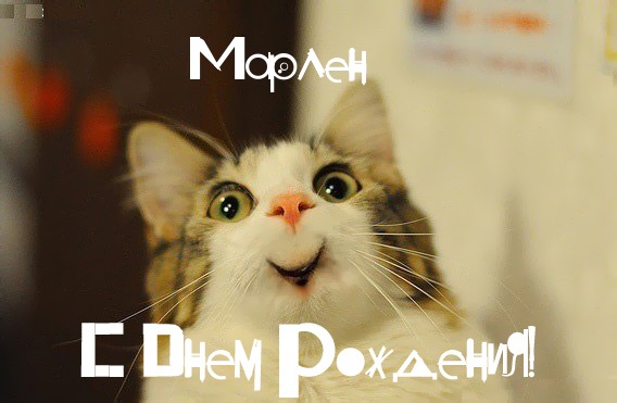 Открытка Открытки с именем Марлен  - С Днём Рождения! Котенок - смешная открытка | Красивая открытка #2