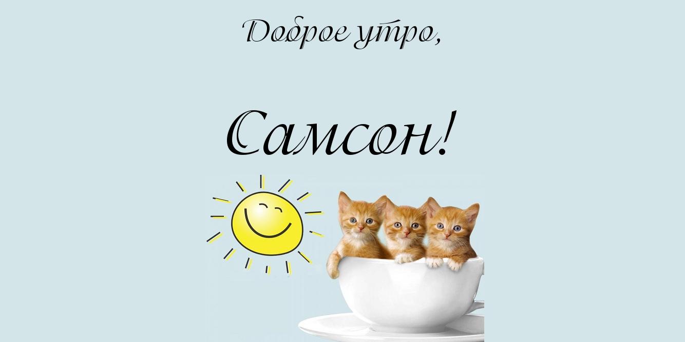 Открытка Открытки с именем Самсон - Открытка с котятами в чашке | Красивая открытка #13
