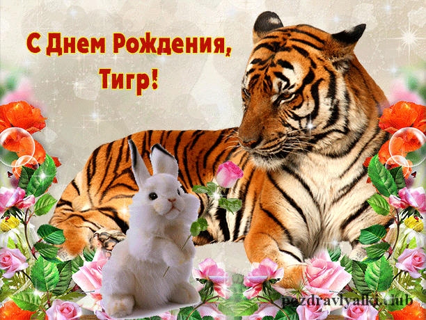 Открытка День тигра - Открытка с тигром и зайцем  Поздравления с днем рождения | Красивая открытка #6