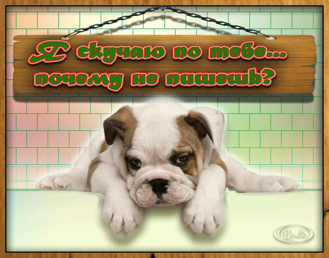Открытка Скучаю - Открытка с щенком бульдога на фоне плитки | Красивая открытка #219