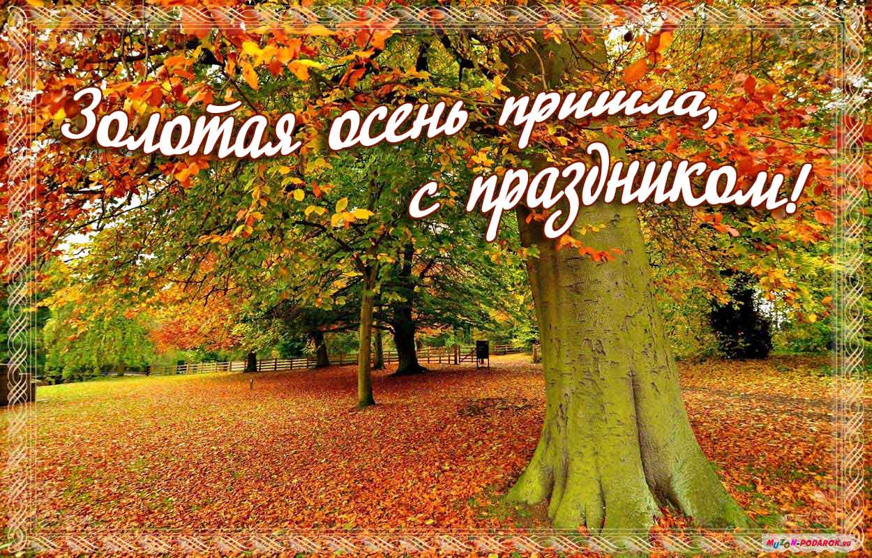 Открытка открытки с первым осенним днем  - Золотая осень: открытка с осенним пейзажем | Красивая открытка #21