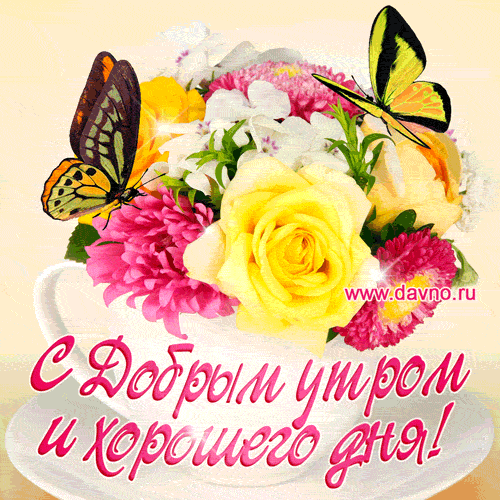 Открытка Открытки с бабочками - Открытка с цветами и бабочкой: Доброе утро! | Красивая открытка #19