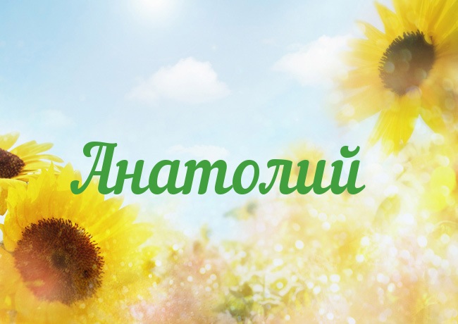 Открытка открытки с именем Анатолий - Открытка с подсолнухами на фоне голубого неба | Красивая открытка #10