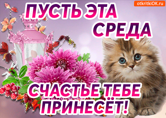 Открытка Открытки на среду - Кошка с цветами: Открытка с милым котенком | Красивая открытка #33