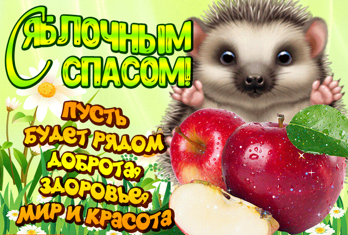 Открытка Яблочный спас - Открытка с ёжиком и яблоками: С Днём рождения! | Красивая открытка #66