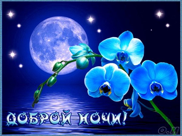Открытка Доброй ночи - Открытка с орхидеями и луной: Доброй ночи | Красивая открытка #101