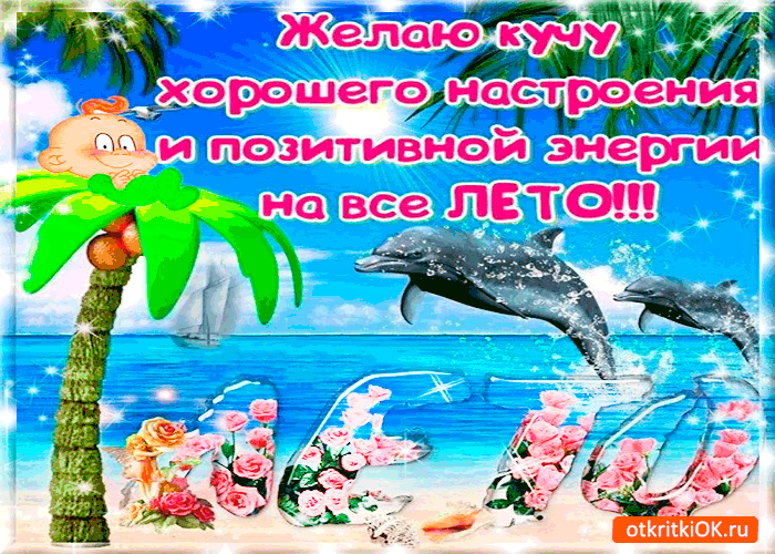 Открытка Открытки хорошего отдыха - Открытка с дельфинами и цветами | Красивая открытка #92