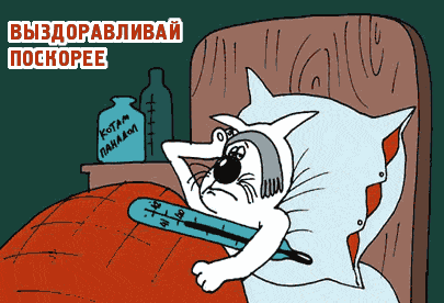 Открытка Выздоравливай - Больной котик с градусником: смешная открытка | Красивая открытка #37