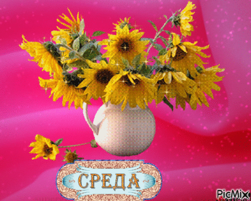 Открытка Среда - Открытка с подсолнухами в вазе на розовом фоне | Красивая открытка #68