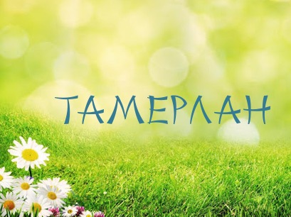 Открытка Открытки с именем Тамерлан - Открытка с ромашками на зеленой лужайке | Красивая открытка #18